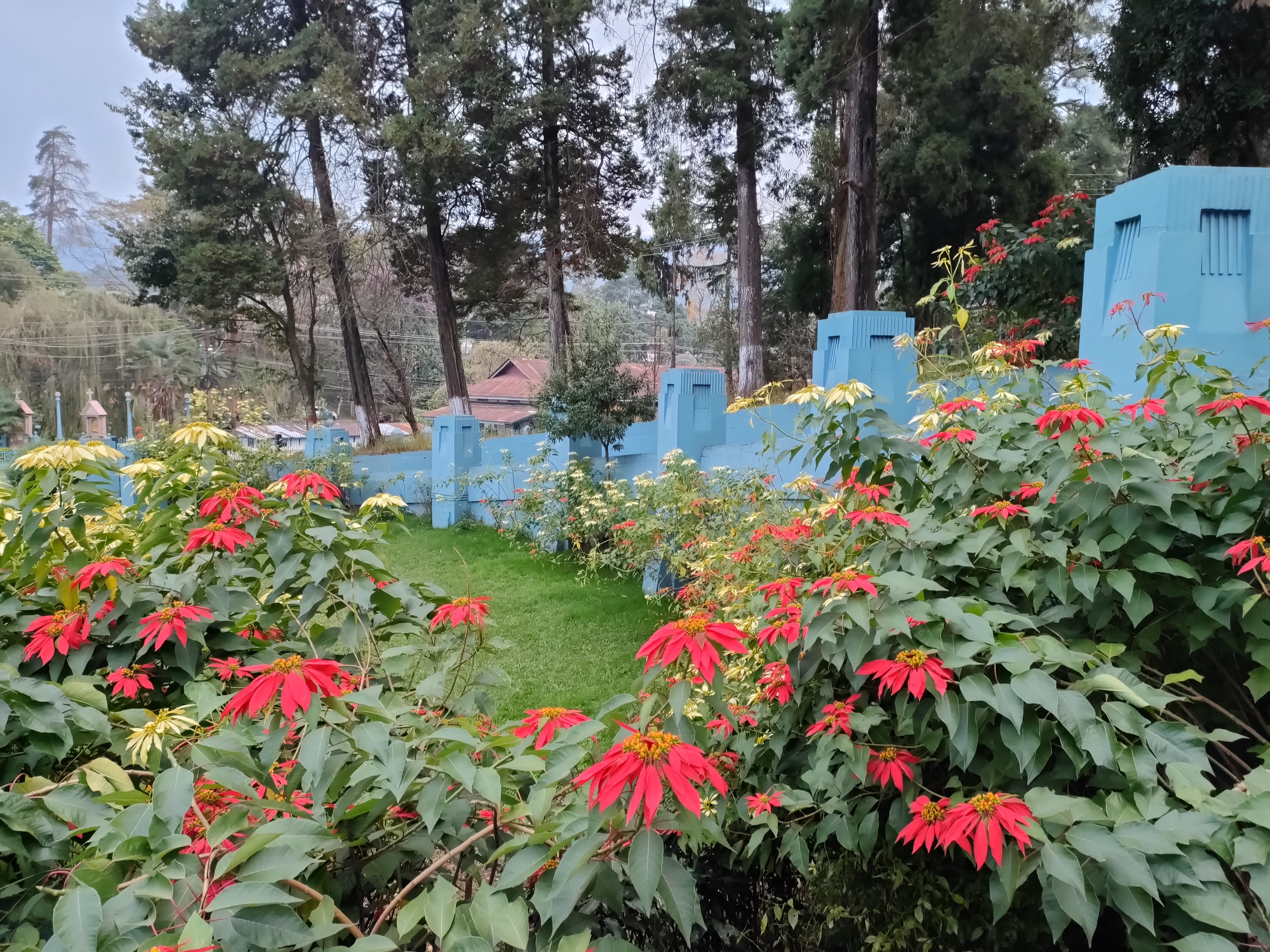 Beautiful Meghalaya - 8 Days in Scotland of the East 4 IMG20211114154824