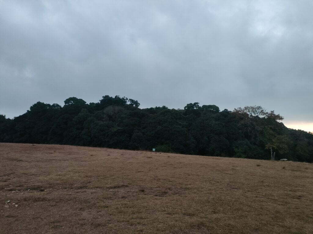 Beautiful Meghalaya - 8 Days in Scotland of the East 23 scared forest
