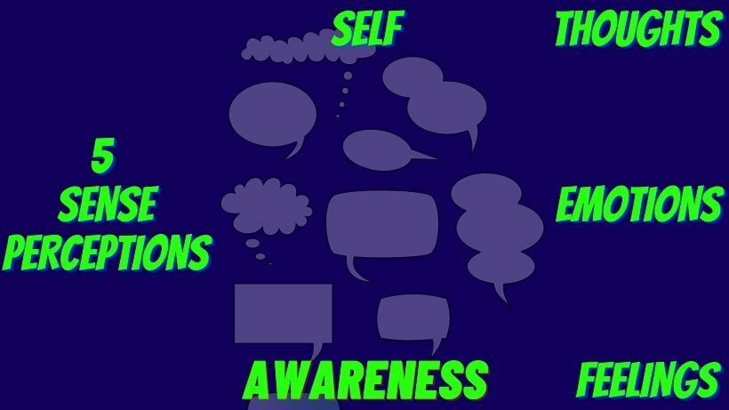 Self-Awareness - What is within? Self-Awareness - What is within?
