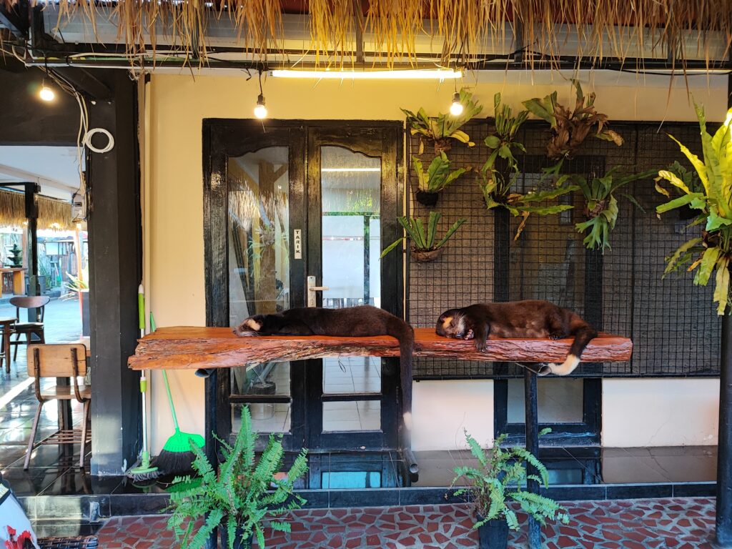 Bali - 14 Adventurous days on the Island of the Gods with breathtaking views 8 1687043495789