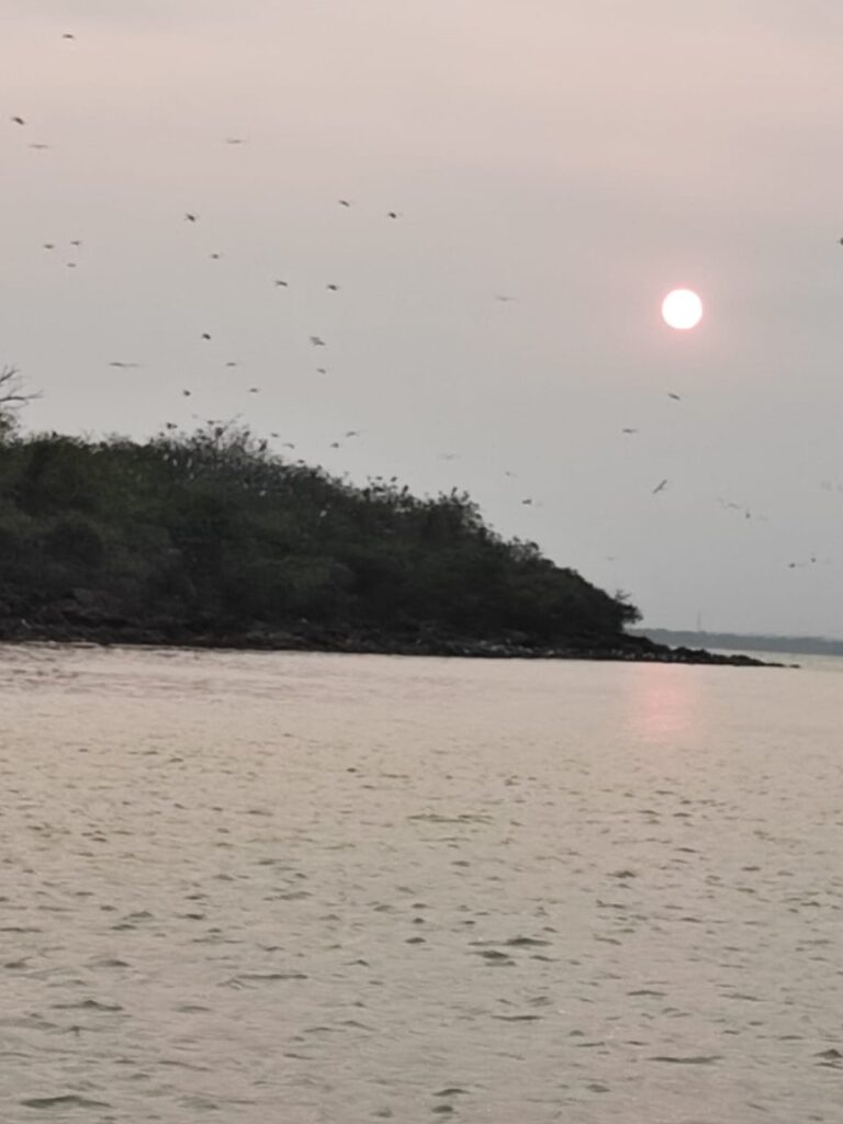 kalijai island