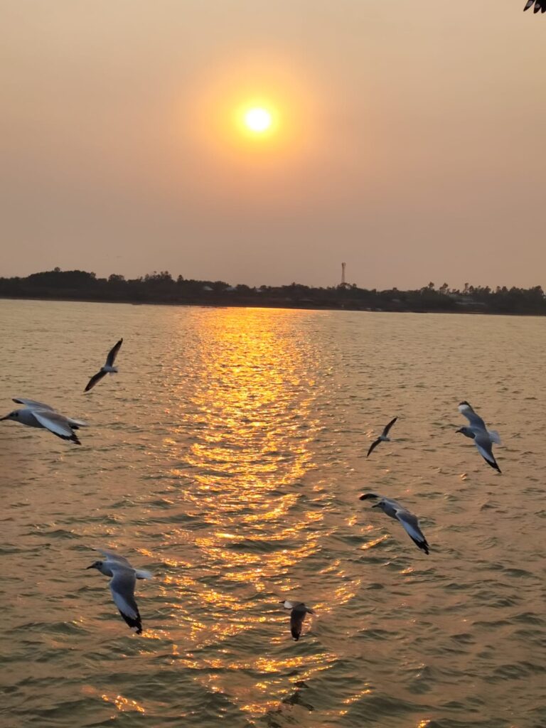 sunset boat