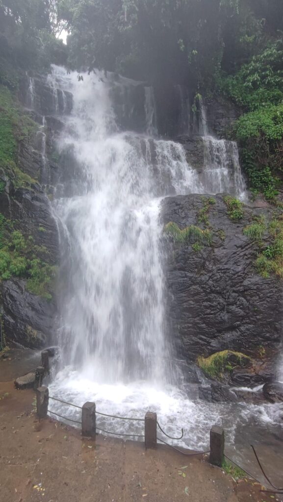 IMG 20250525 WA0009
