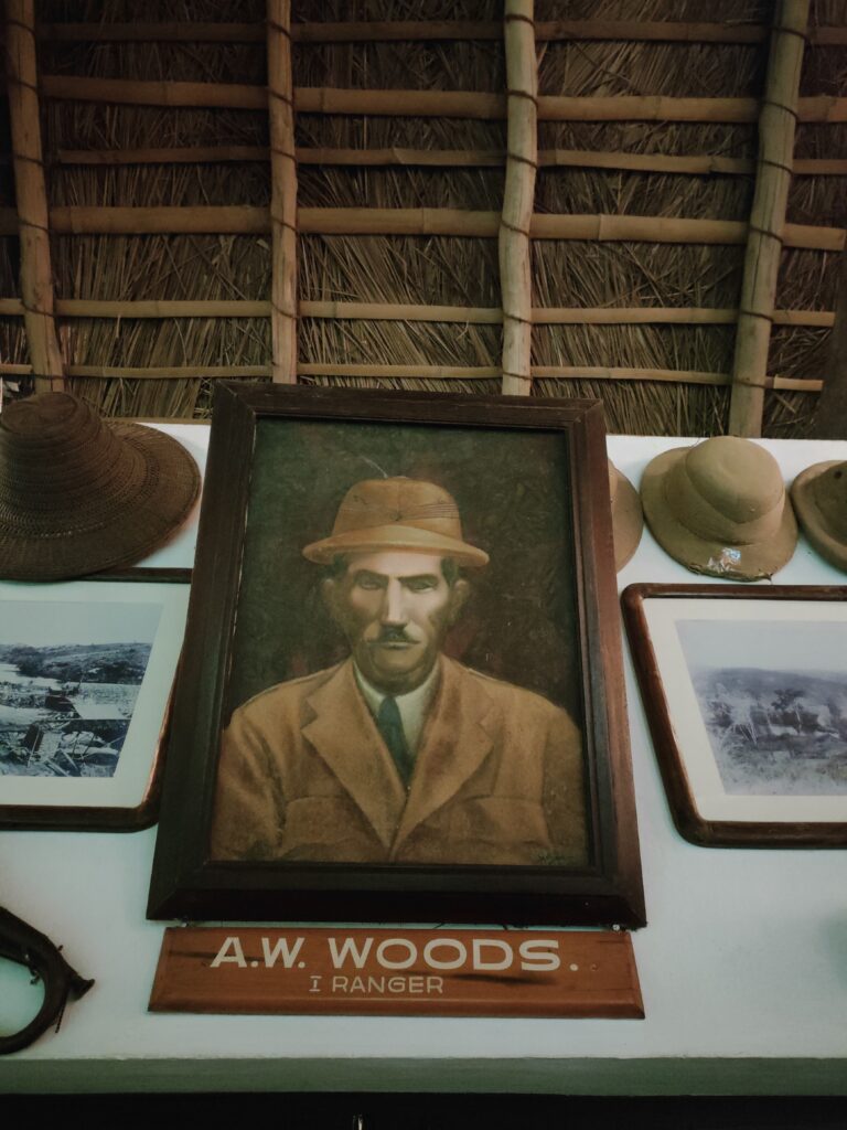 a w woods