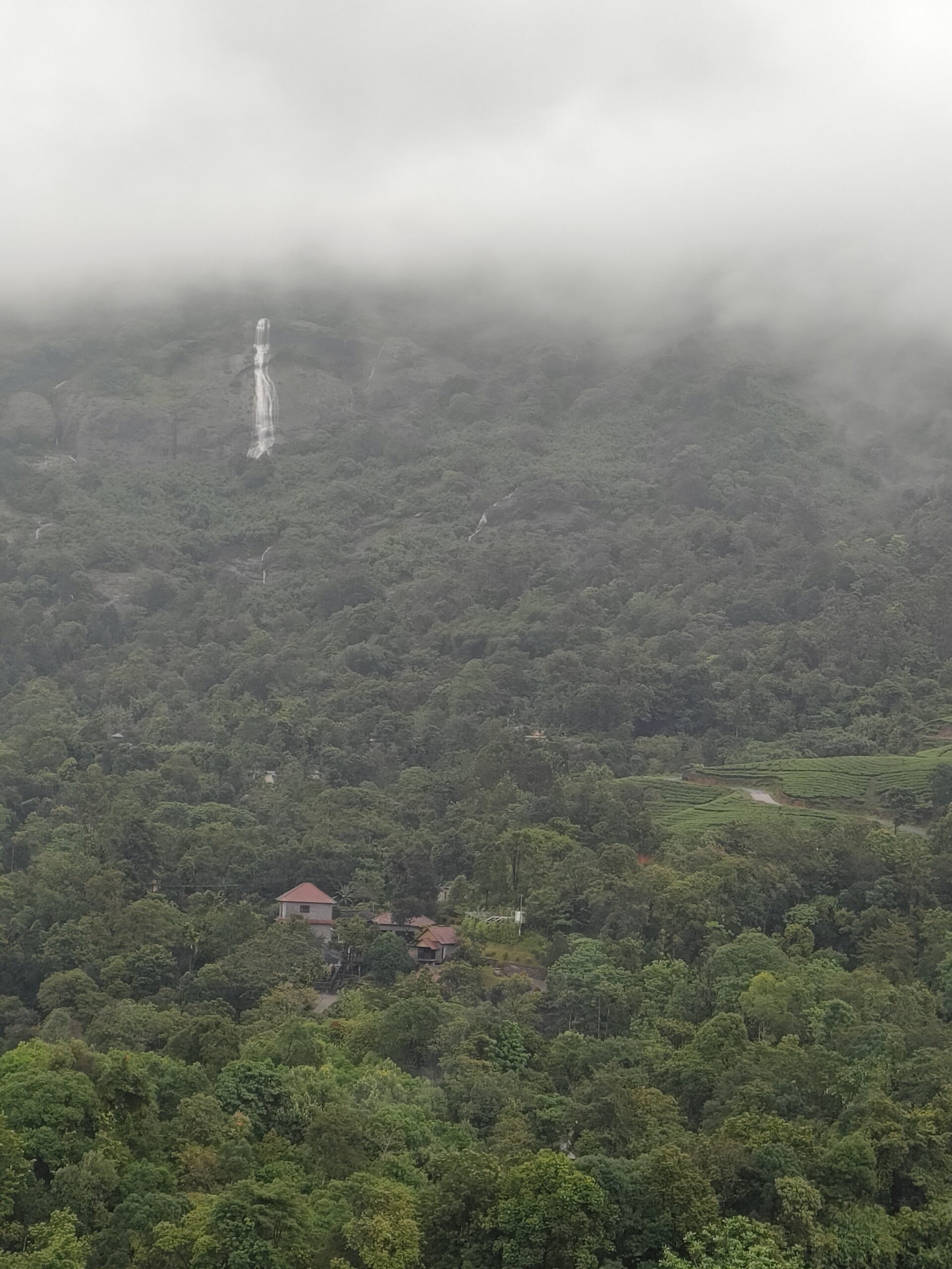 roomview thegrandcliff scaled