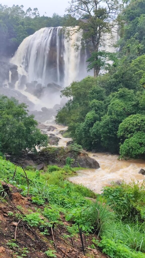 thekkady munnar